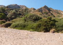 Plaża Dafni - na plaży jest mnóstwo gniazd, w których żółwie Careta Careta złożyły jaja