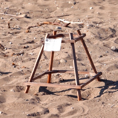 gniazda żółwi Careta Careta na plaży Dafni, zabezpieczone przed zadeptaniem