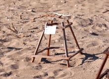 gniazda żółwi Careta Careta na plaży Dafni, zabezpieczone przed zadeptaniem